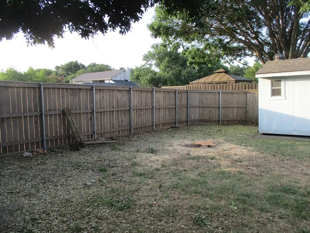 Cleared yard after professional tree removal in Allegan