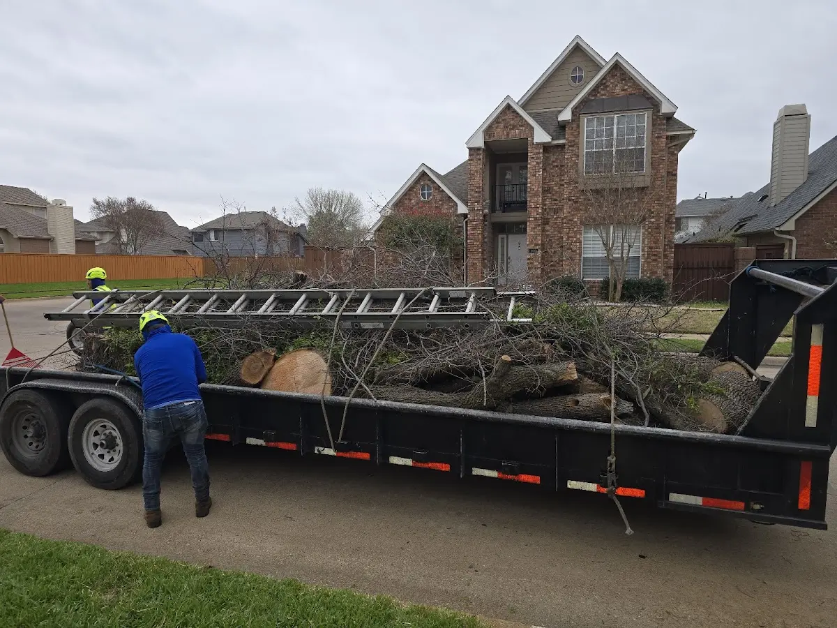 Expert Lot Clearing with proper safety equipment in Allegan